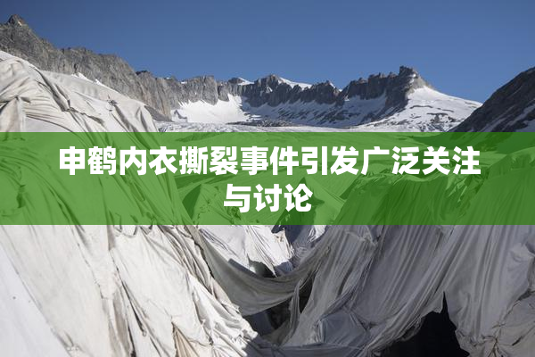 申鹤内衣撕裂事件引发广泛关注与讨论