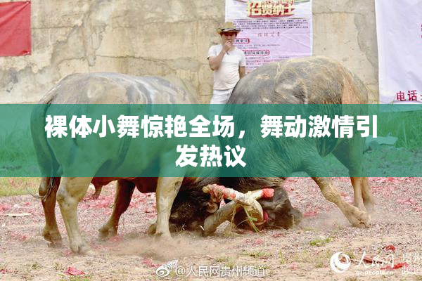 裸体小舞惊艳全场，舞动激情引发热议