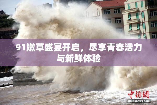 91嫩草盛宴开启，尽享青春活力与新鲜体验