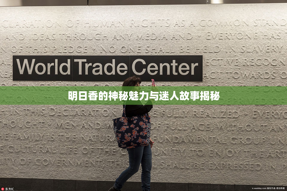 明日香的神秘魅力与迷人故事揭秘