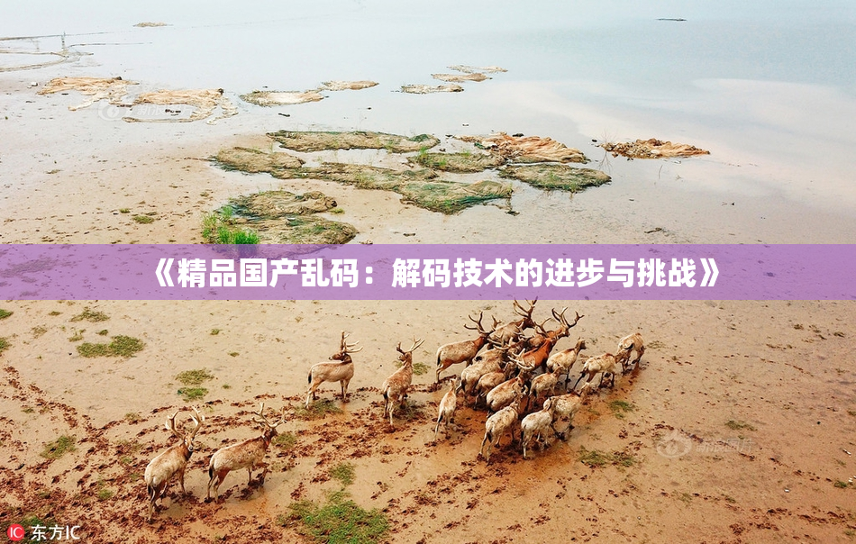 《精品国产乱码：解码技术的进步与挑战》