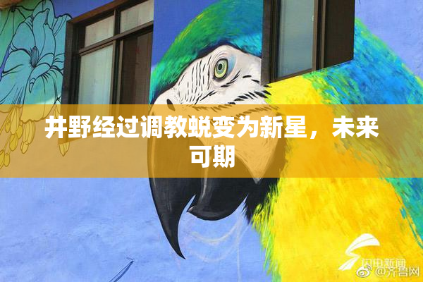 井野经过调教蜕变为新星，未来可期