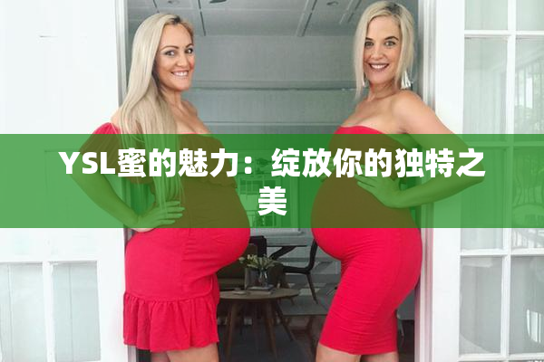 YSL蜜的魅力：绽放你的独特之美
