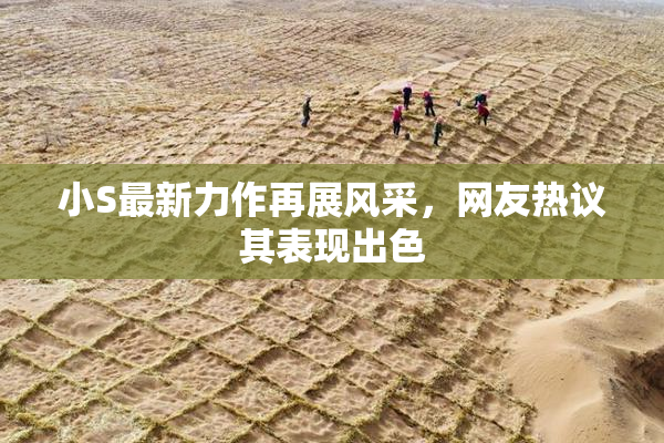 小S最新力作再展风采，网友热议其表现出色