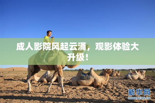 成人影院风起云涌，观影体验大升级！
