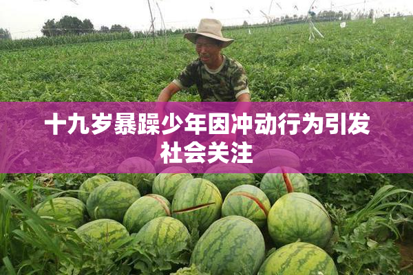 十九岁暴躁少年因冲动行为引发社会关注