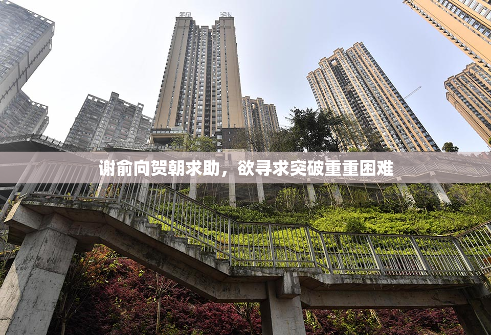 谢俞向贺朝求助，欲寻求突破重重困难
