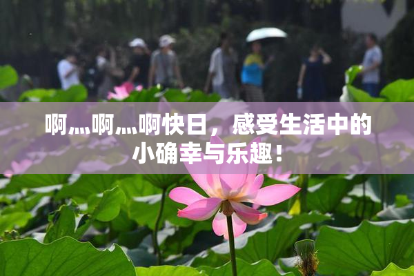 啊灬啊灬啊快日，感受生活中的小确幸与乐趣！