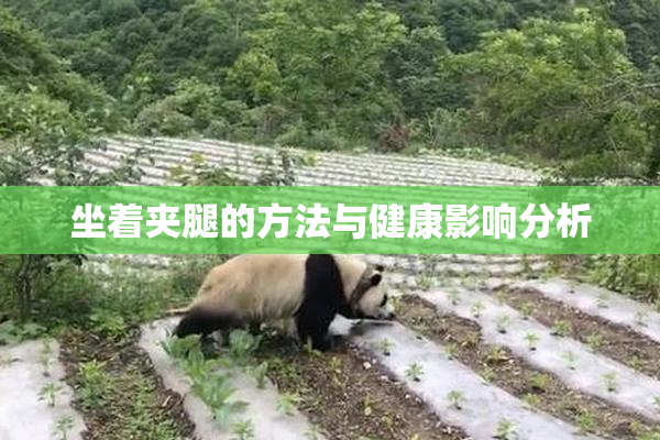 坐着夹腿的方法与健康影响分析