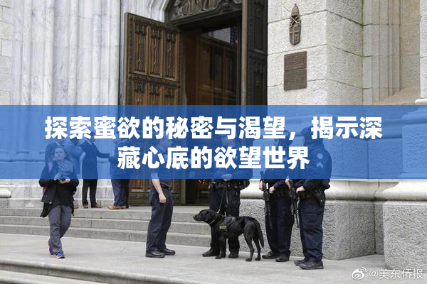 探索蜜欲的秘密与渴望，揭示深藏心底的欲望世界