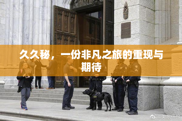 久久秘，一份非凡之旅的重现与期待