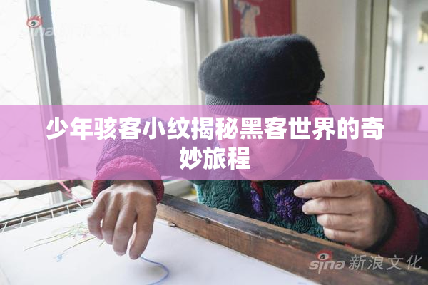少年骇客小纹揭秘黑客世界的奇妙旅程