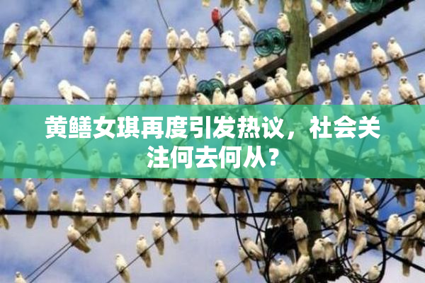 黄鳝女琪再度引发热议，社会关注何去何从？