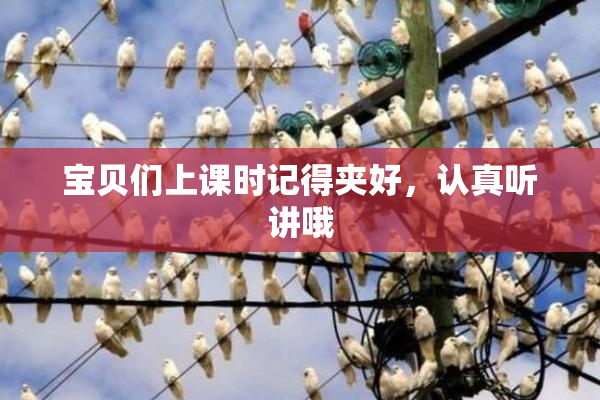 宝贝们上课时记得夹好，认真听讲哦