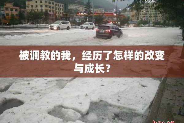 被调教的我，经历了怎样的改变与成长？