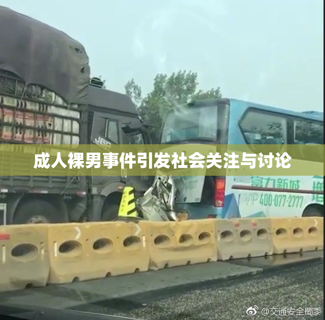 成人裸男事件引发社会关注与讨论