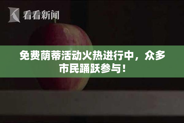 免费荫蒂活动火热进行中，众多市民踊跃参与！