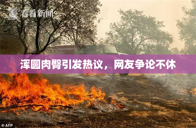 浑圆肉臀引发热议，网友争论不休