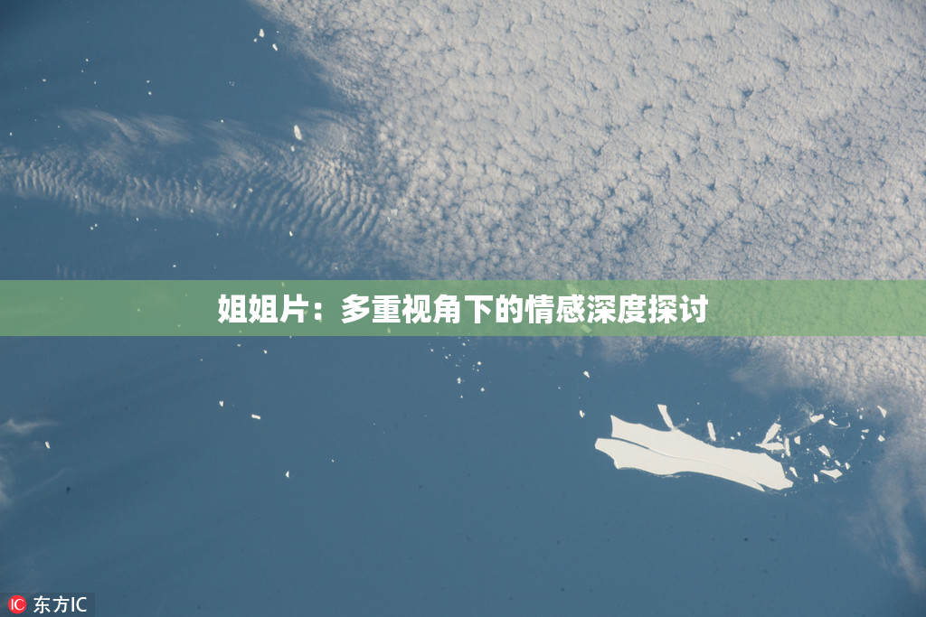 姐姐片：多重视角下的情感深度探讨