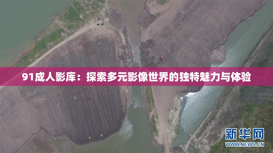 91成人影库：探索多元影像世界的独特魅力与体验