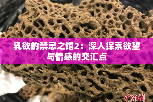 乳欲的禁忌之馆2：深入探索欲望与情感的交汇点