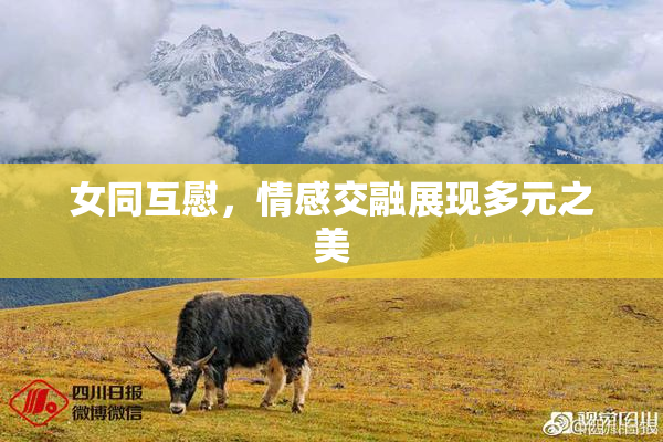 女同互慰，情感交融展现多元之美