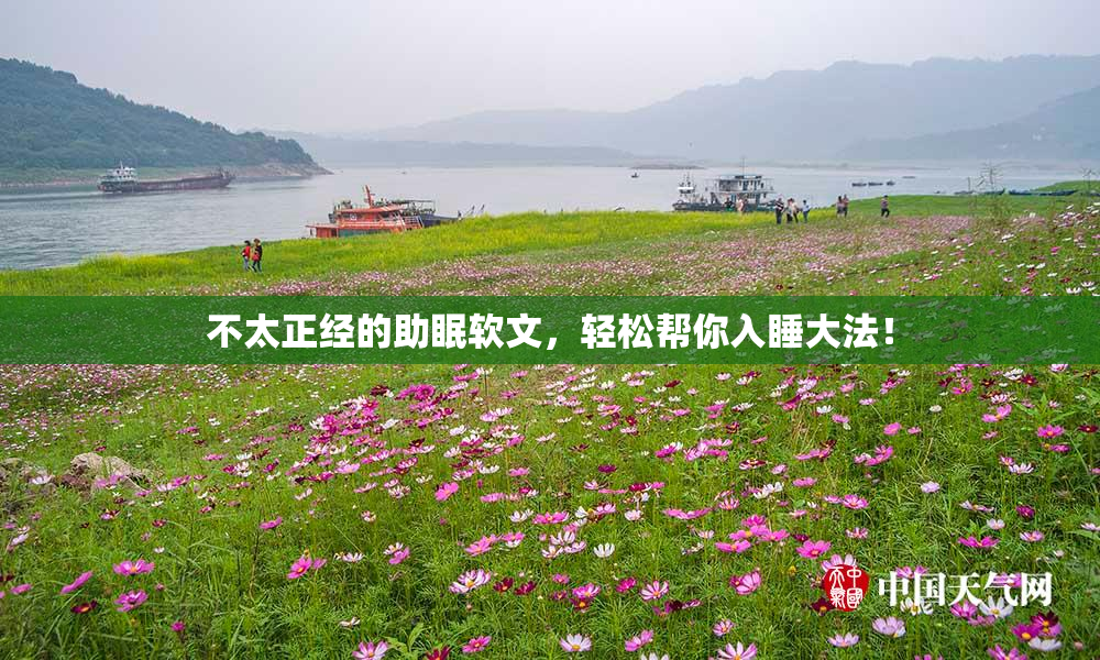 不太正经的助眠软文，轻松帮你入睡大法！