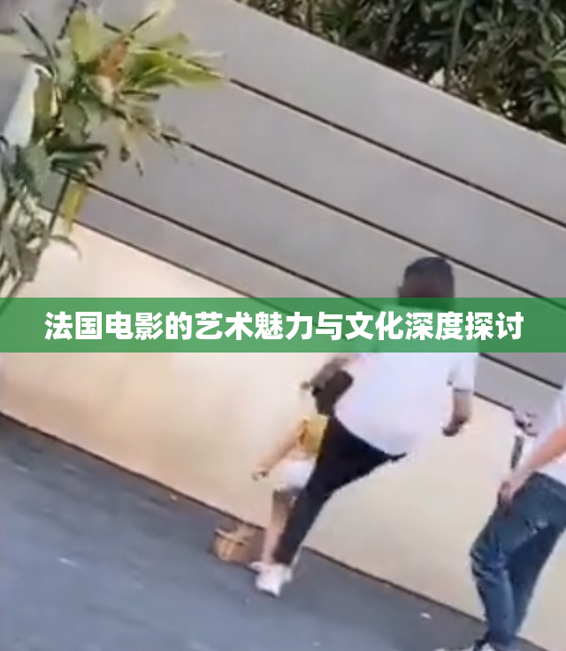 法国电影的艺术魅力与文化深度探讨