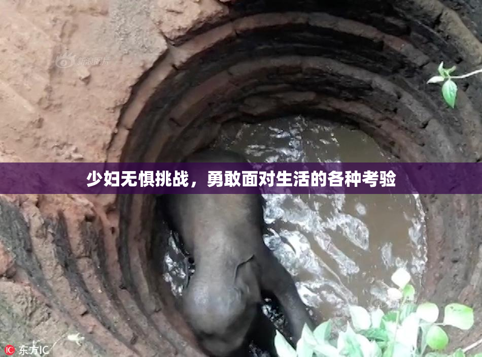 少妇无惧挑战，勇敢面对生活的各种考验