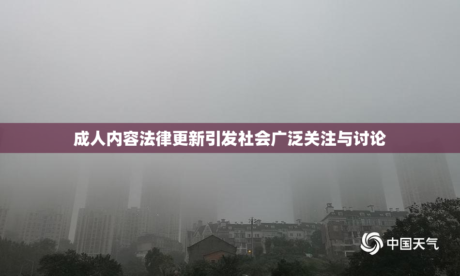 成人内容法律更新引发社会广泛关注与讨论