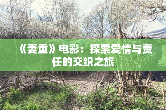 《妻重》电影：探索爱情与责任的交织之旅