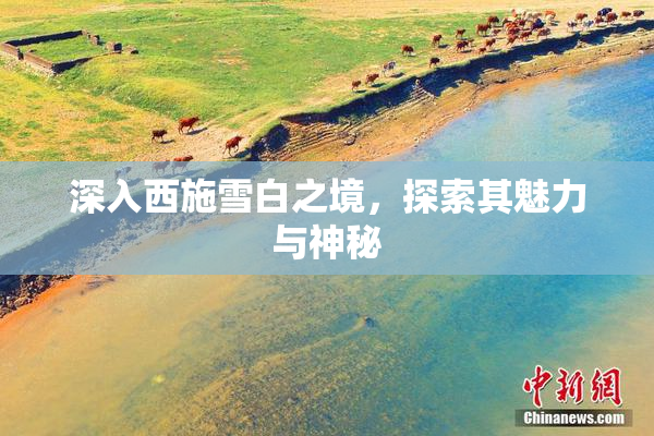 深入西施雪白之境，探索其魅力与神秘