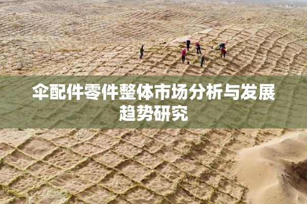伞配件零件整体市场分析与发展趋势研究