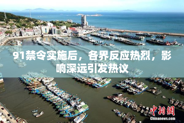 91禁令实施后，各界反应热烈，影响深远引发热议