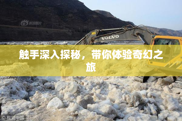 触手深入探秘，带你体验奇幻之旅