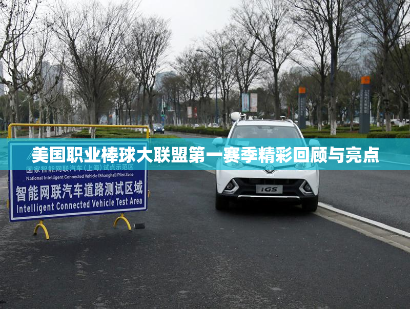 美国职业棒球大联盟第一赛季精彩回顾与亮点