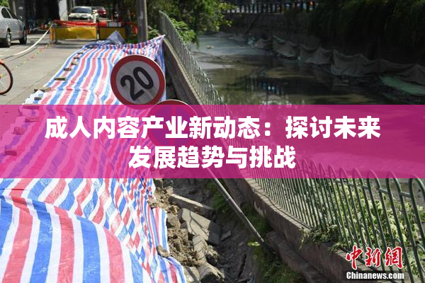 成人内容产业新动态：探讨未来发展趋势与挑战