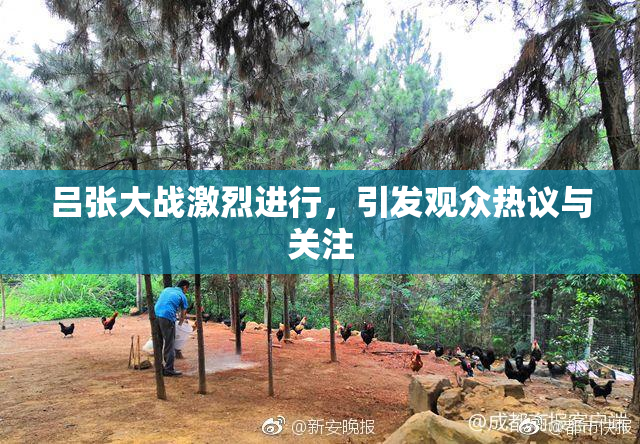 吕张大战激烈进行，引发观众热议与关注