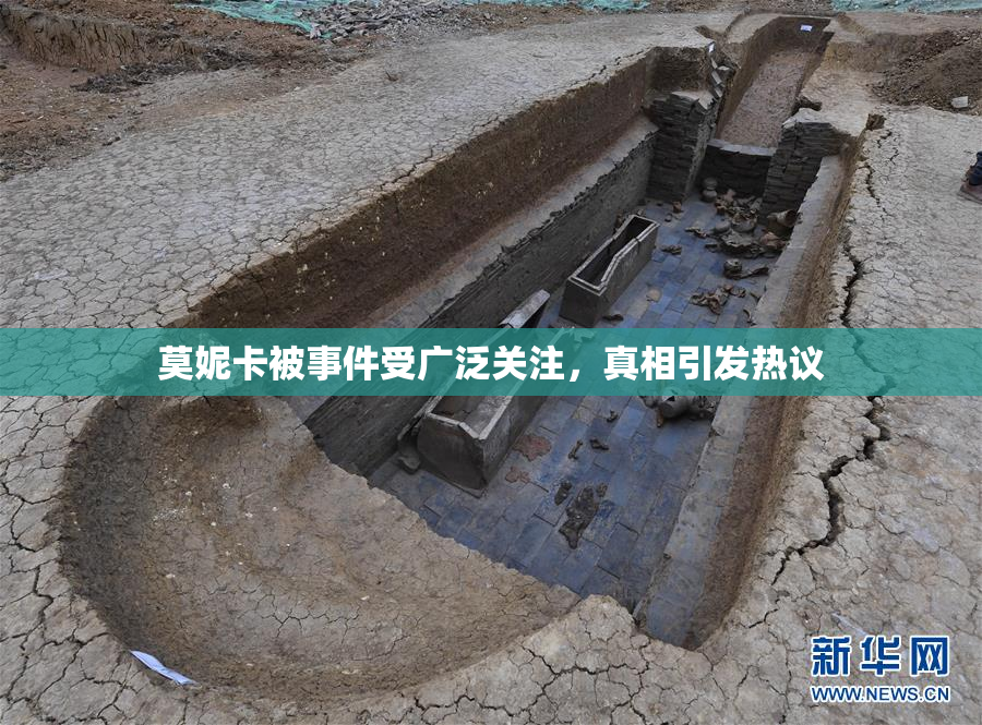 莫妮卡被事件受广泛关注，真相引发热议