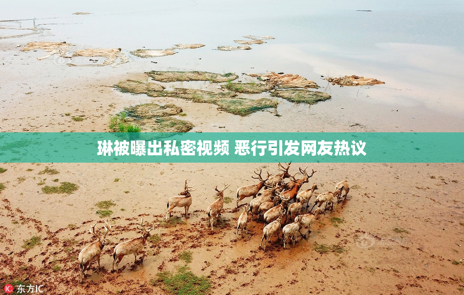 琳被曝出私密视频 恶行引发网友热议