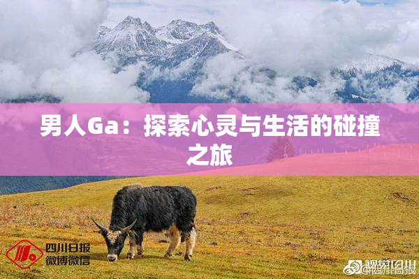 男人Ga：探索心灵与生活的碰撞之旅
