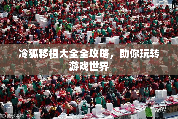 冷狐移植大全全攻略，助你玩转游戏世界