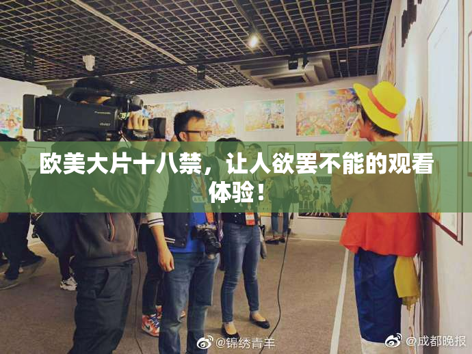 欧美大片十八禁，让人欲罢不能的观看体验！