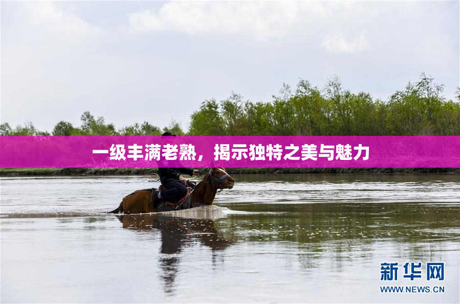 一级丰满老熟，揭示独特之美与魅力