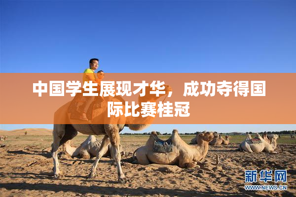 中国学生展现才华，成功夺得国际比赛桂冠