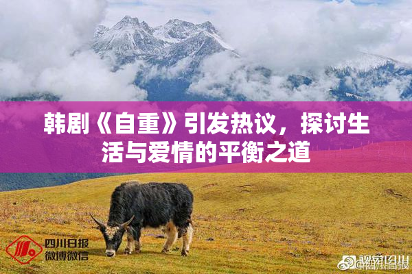 韩剧《自重》引发热议，探讨生活与爱情的平衡之道