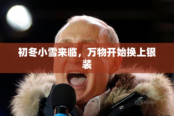 初冬小雪来临，万物开始换上银装