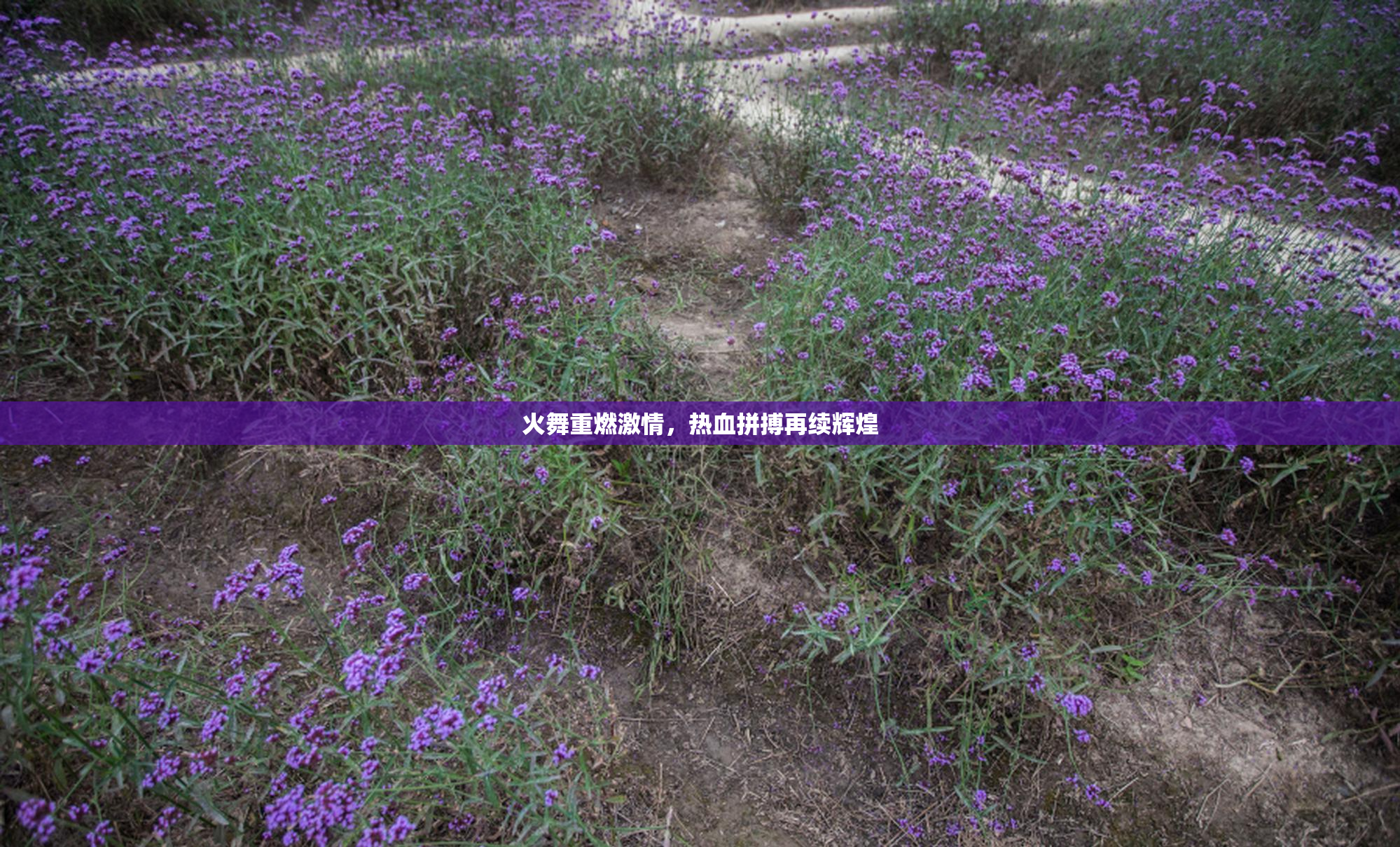 火舞重燃激情，热血拼搏再续辉煌
