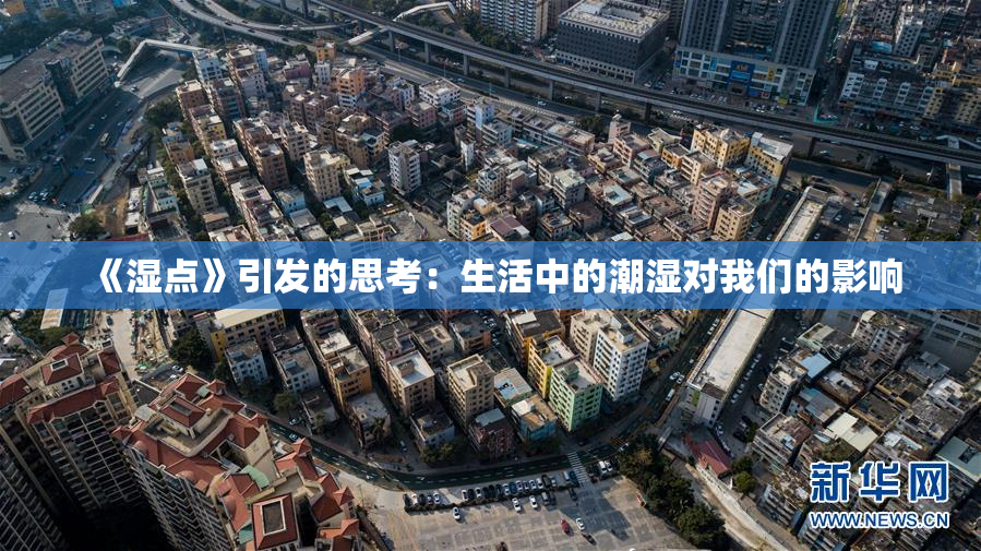《湿点》引发的思考：生活中的潮湿对我们的影响