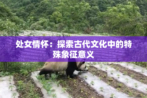 处女情怀：探索古代文化中的特殊象征意义